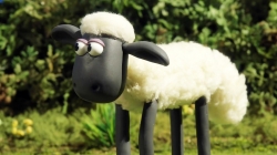 بره ناقلا (اسکیت بورد)